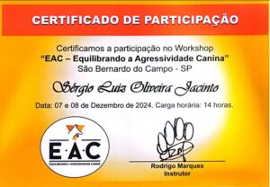 WhatsApp Image 2024-12-09 at 21.05.50